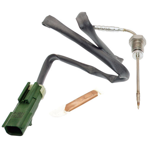 Descriptive Alt Text