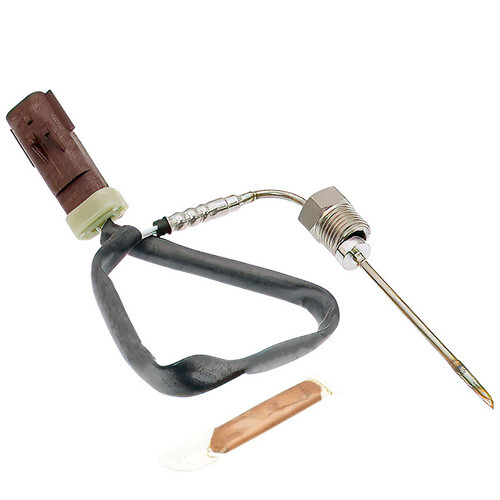 Descriptive Alt Text