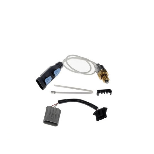 Descriptive Alt Text